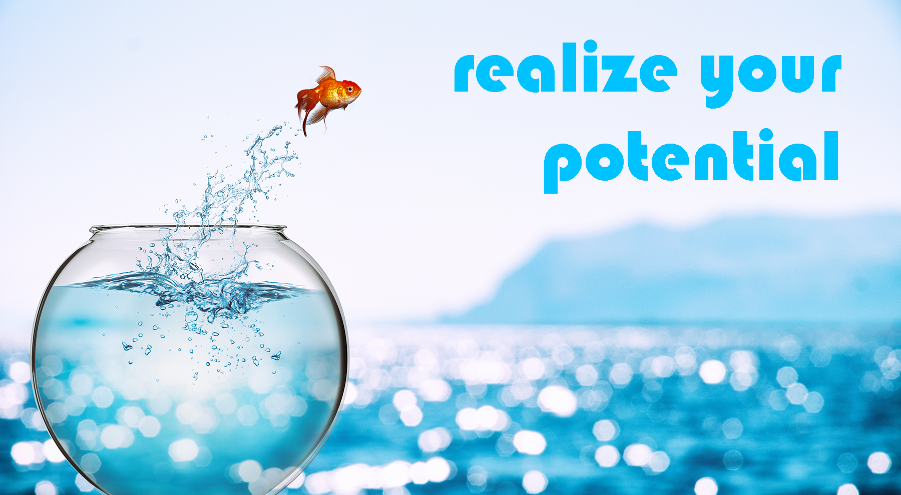 Realize your potential